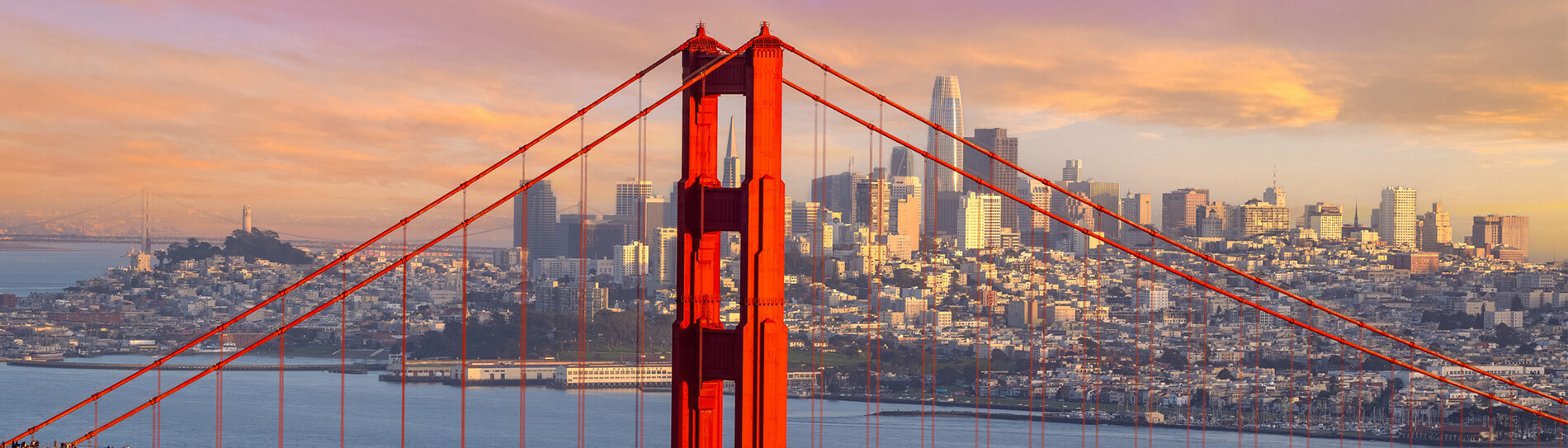 { Banner Image }